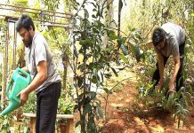 Megastar Chiranjeevi Green Challenge Photos Megastar-Takes-Up-The-Green-Challenge