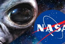 Forget Aliens, NASA is Now Behind Mosquitoes