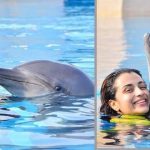 Trisha Trolled for photos with Dolphins!