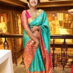 Anupama Parameswaran Stealing Hearts in Silk saree