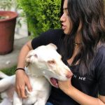 Rashmika Mandanna Fun Times With Her Cute Pets Photos
