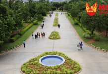 Mohan Babu University Ranking at ARIIA, AICTE-CII, NIRF