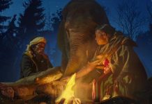 The Elephant Whisperers Wins Best Short Film at the Oscars