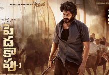 Pedakapu Movie Review