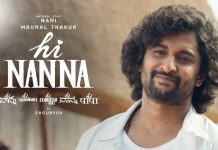 Hi Nanna Movie Review